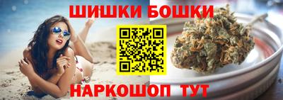 гашик Сланцы