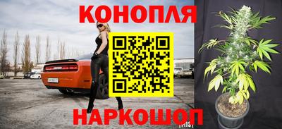 гашик Сланцы