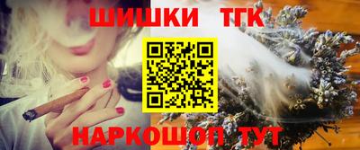 гашик Сланцы