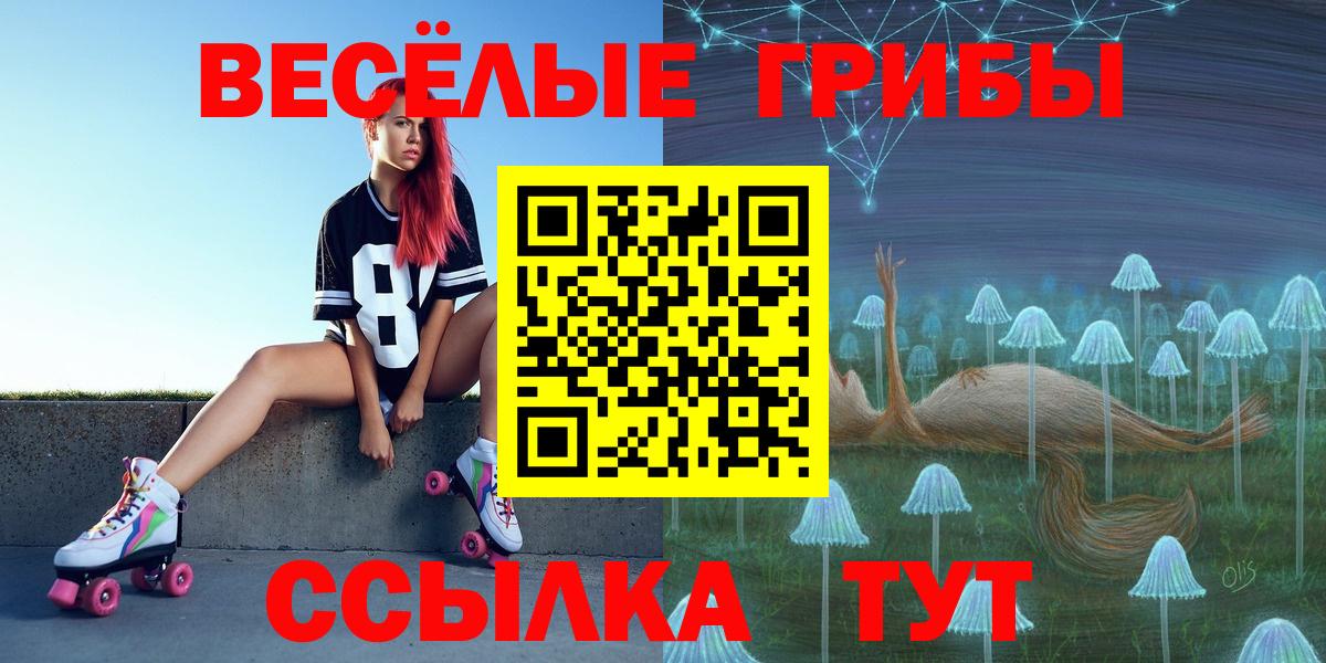 Галлюциногенные грибы MAGIC MUSHROOMS  Вход с VPN  Нерюнгри  Галлюциногенные грибы Psilocybe 